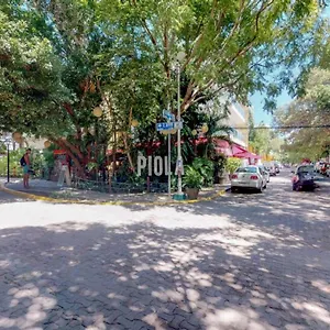 Volta 406 , Playa del Carmen Mexico